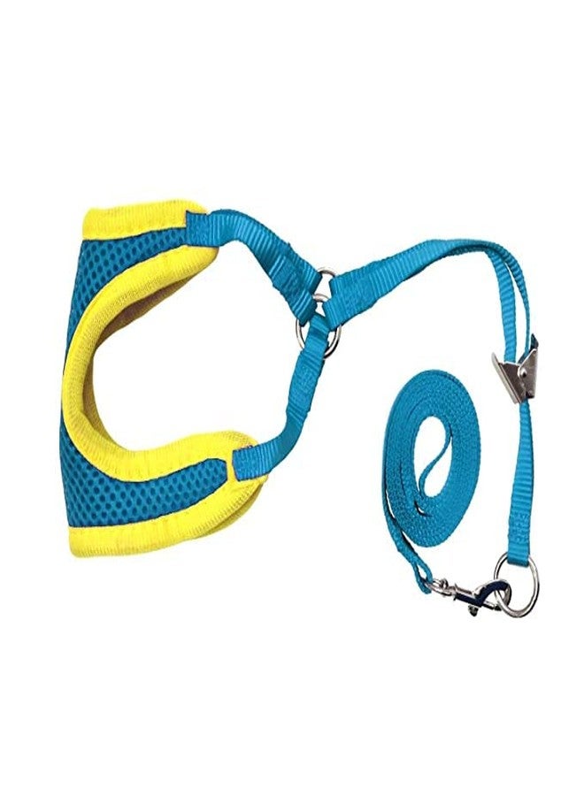 Pups&Pets سترة صدرية مبطنة ناعمة قابلة للتعديل من Pups&Pets، مستوردة، مريحة للكلاب الصغيرة والقطط والأرانب والجراء - أزرق - Image 1